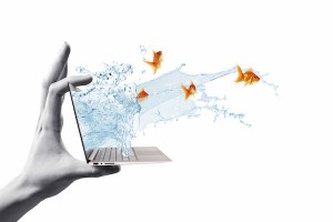 How to Market to Goldfish – Infographic